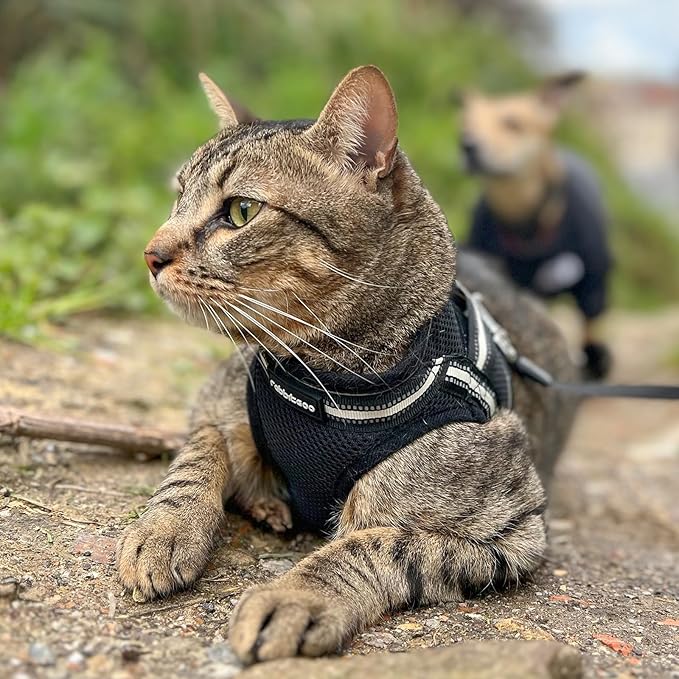 rabbitgoo Cat Harness and Leash, Step-in Escape Proof Kitten Harness Set, Soft Comfortable Cat Vest, Easy to Wear and Adjust, Reflective for Safe Outdoor Walking, Black, X-Large