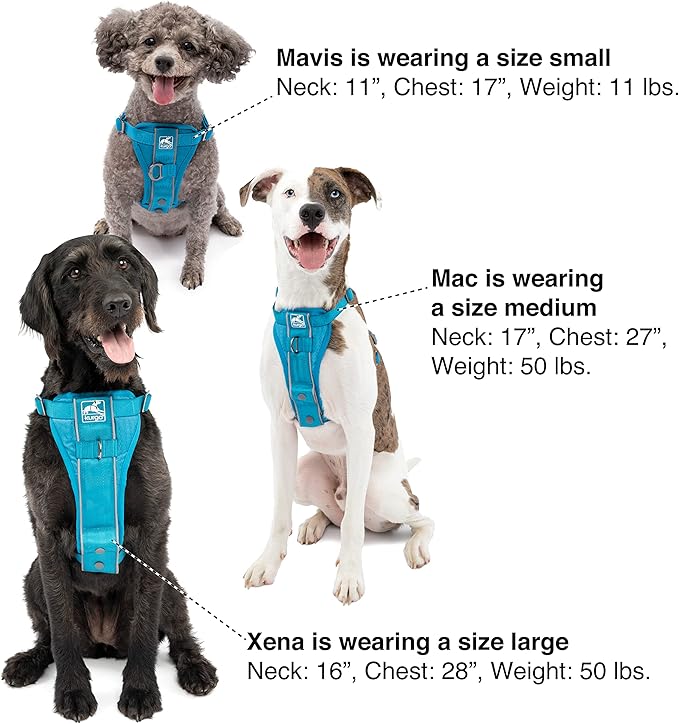Kurgo Tru-Fit Smart Dog Walking Harness - Comfortable Fit - Adjustable Harness - Reflective Pet Wear - Quick Strap Release - Daily Walk Accessory - Includes Seat Belt Loop - Grey - X-Small