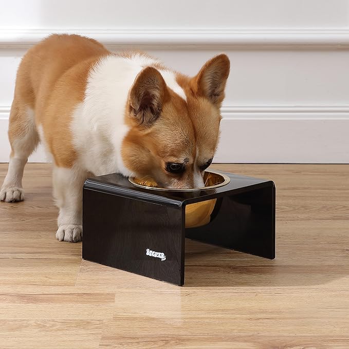 THE LICKER Store DBL2002B Keaton 5" Small/Medium Modern Acrylic Rectangular Elevated Pet Feeder with 20oz 1-Stainless Steel Bowl, Black/Gold