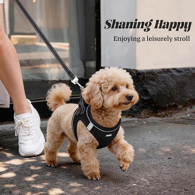 YIMEIS Dog Harness and Leash Set, No Pull Soft Mesh Pet Harness, Reflective Adjustable Puppy Vest for Small Dogs, Cats (M, Black) fit Small