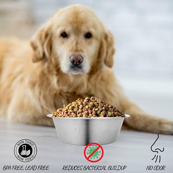 Stainless Steel Dog and Cat Bowls 2.5 Cups (0.6L), Durable Metal Pet Food & Water Dish for Small Pets – Rust-Resistant