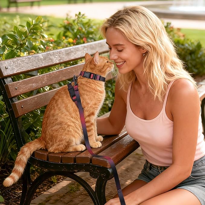 Cat Harness and Leash Set, 3-in-1 Escape Proof Adjustable, Comfortable Soft Lightweight, Safe, Easy to Wear, Walking Travel Kitten Harness for Small Medium Cats (Red