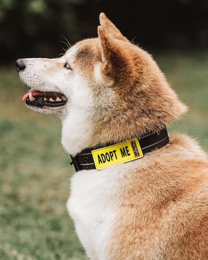 Tuff Pupper 2-Pack Waterproof Collar Sleeves | Fits Any 1 Inch Wide Dog Collar | Dual Sided Message | Durable Silicone & Neoprene | Odor & Stink Proof | Easy Slide On & Off (Adopt Me, Standard)