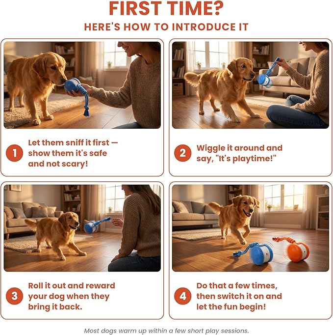 (2 Pack) Interactive Dog Toys for Small Dogs — Boredom Relief & Indoor Enrichment, Automatic Rolling Ball with Rope, Motion Activated Self Moving Dog Toy (Blue + Orange)