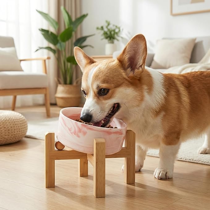 hjn Elevated Ceramic Dog Bowl 15°Slanted Raised Dog Bowl with Bamboo Stand for Small Medium Dogs and Cats, Pet Feeder -3.6-Cup (850ml)-Marble Pink