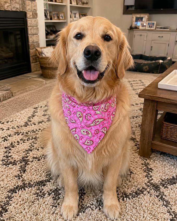 PET SHOW 50 Pack Big Paisley Dog Bandanas Bulk XL Dog Scarves Floral Bibs Kerchief Set for Medium Large Dogs Girl Boy Pet Holiday Party Grooming Accessories