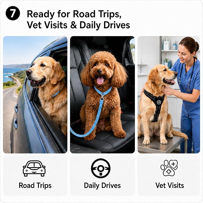 Dog Seat Belt 2Pcs, Retractable Pet Car Harness, Adjustable Dog SeatBelts for Vehicle, Nylon Pet Safety with Elastic Bungee