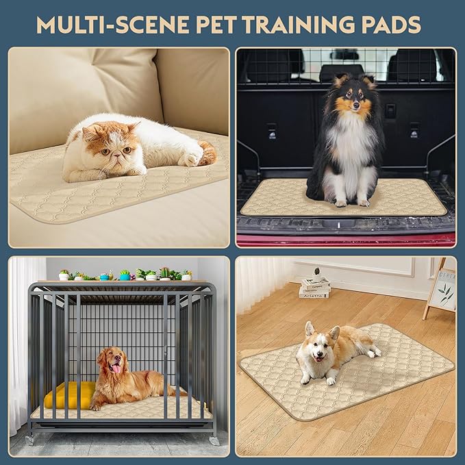 FunFurry Washable Pee Pads for Dogs - 1 Pack Reusable Pee Pads,Waterproof Puppy Pads,Pet Training Pads,Super Absorbent with Dog Paw Shape Non-Slip Backing (Cream, 48" X 65" - 1 Pack)