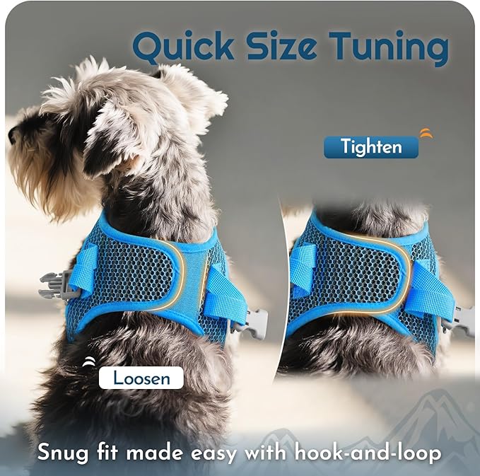 Eagloo Small Dog Harness and Leash Set, Step in Puppy Vest with Breathable Soft Mesh, Walking Reflective Pet Harness for Medium Small Dogs, Blue, L