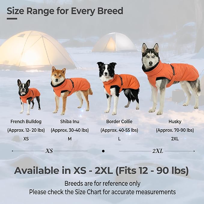 Dog Winter Coat, Warm Puffer Jacket with Fur-Safe Buckle & Leash Hole for Cold Weather, Water-Repellent Snow Vest, Breathable Thermal Apparel for Hiking & Active Dogs (Aurantium, Small)