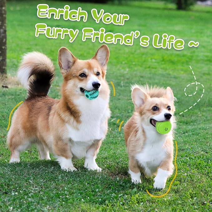 HIPPIH Dog Puzzle Toys 2 Pack, Dog Enrichment Toys for Large Dogs & Small Dogs, Puppy Balls for Treat Dispensing, Durable Balls for Teeth Cleaning/IQ Training/Chewing