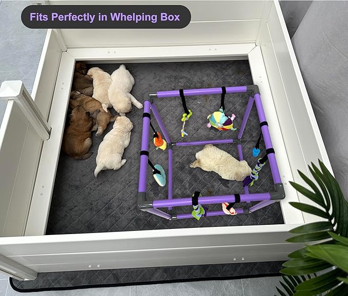 DOZZOPET Puppy Play Gym for Small Dogs with 8 Hanging Toys, Jungle Playground with Interactive Funny Enrichment Toys to Keep Them Busy