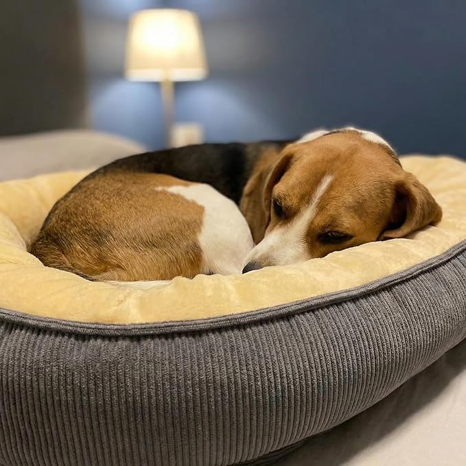 Calming Dog Bed for Medium to Large Dogs 30"x20" - Orthopedic Washable Pet Bed with Anti-Slip Bottom, Indoor Soft Cat Bed with Removable Cover (Beige)