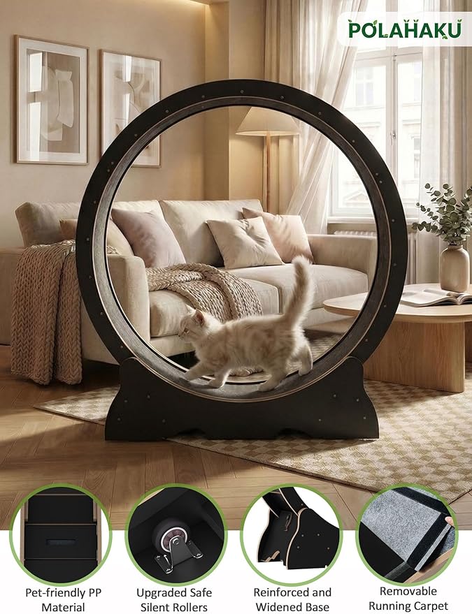 Cat Exercise Wheel, 48 Inch Diameter Cat Treadmill for Indoor Cats, Cats Running Wheel with Updated Enhanced Base and Carpeted Runway for Cat's Longer Life and Fitness, Black