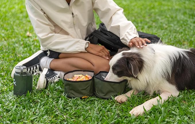 OllyDog Superbowl | Collapsible Dog Travel Bowl | 2-Compartment Food & Water | Foldable Portable Dog Dish | Hiking Camping Backpacking | Small Medium Large Dogs (Winter Moss)