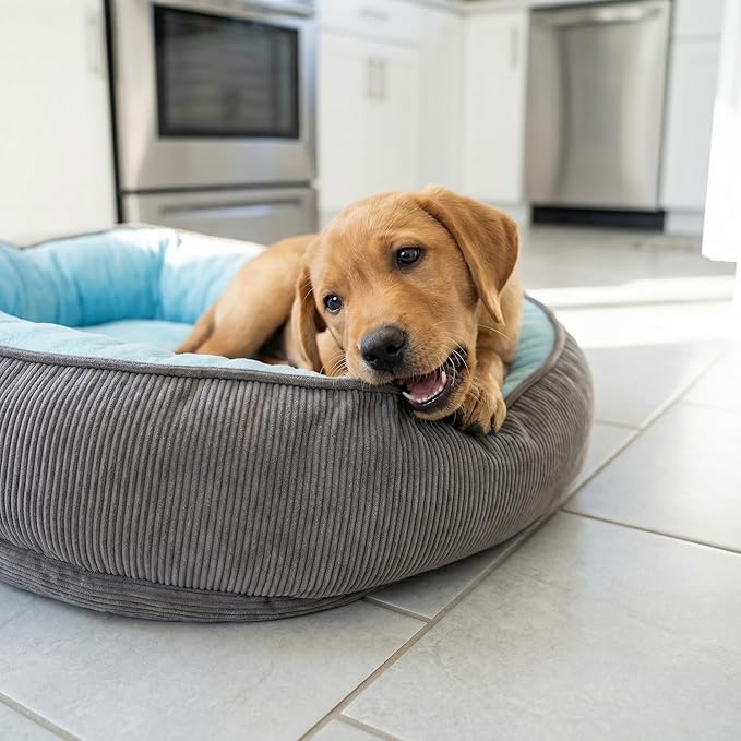 Calming Dog Bed for Medium to Large Dogs 30"x20" - Orthopedic Washable Pet Bed with Anti-Slip Bottom, Indoor Soft Cat Bed with Removable Cover (Sky Blue)