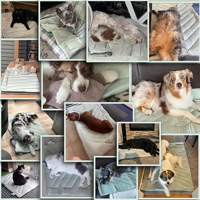 Cooling Mat for Dogs, Q-MAX>0.4 Dog Cooler Blanket for Crate, Summer Dogs Bed Pad, Washable Anti-Slip Pet Mats for Large Medium Dogs Sleeping, Multi-Use Kennel Pads for Truck Car Sofa
