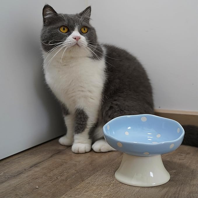 Ceramic Elevated Cat Bowls, Tilted Raised Pet Dish for Indoor Cats, Whisker Friendly Pet Food and Water Bowl for Kitten, Cat, Puppies, Dishwasher Safe (Pink+ Blue)