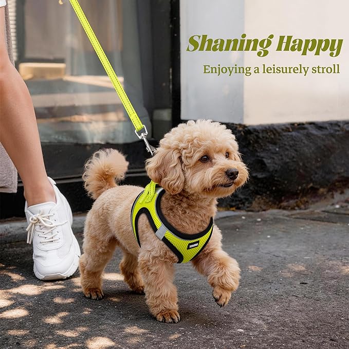 YIMEIS Dog Harness and Leash Set, No Pull Soft Mesh Pet Harness, Reflective Adjustable Puppy Vest for Small Medium Large Dogs, Cats (Fluorescent Yellow, Medium (Pack of 1)