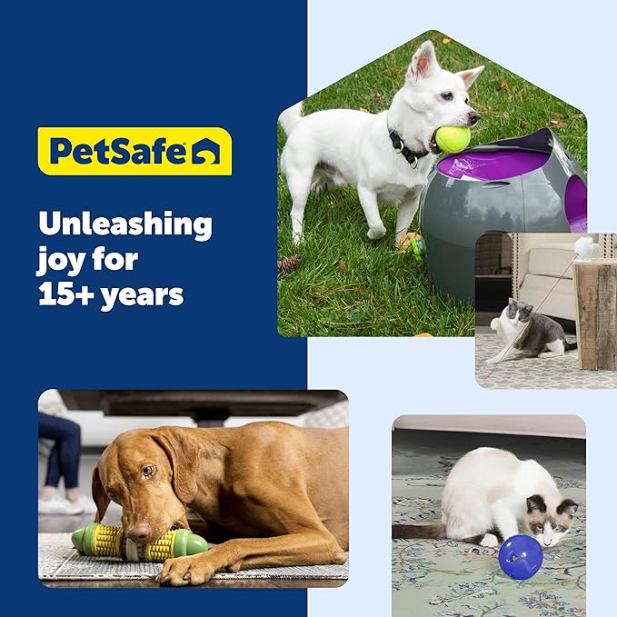 PetSafe Busy Buddy Bristle Bone Dog Chew Toy - Treat Holding Toothbrush Toy for Hard Chewers - Helps Keep Your Dog's Teeth Clean - Durable, Interactive - Purple, Large