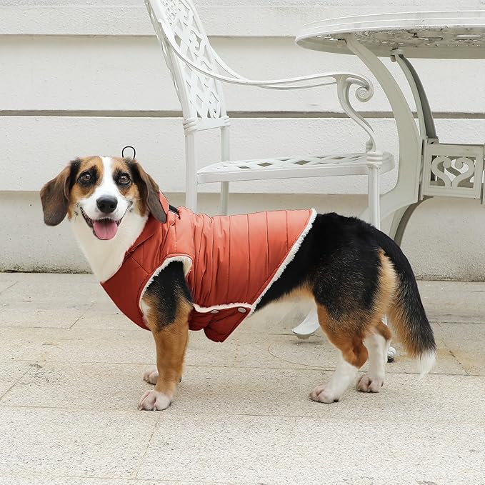 Vecomfy Fleece Lining Dog Hoodie with Harness Built in,Extra Warm Large Dog Jacket in Winter Doggie Coats with Drawstring Hooded,Orange XXL