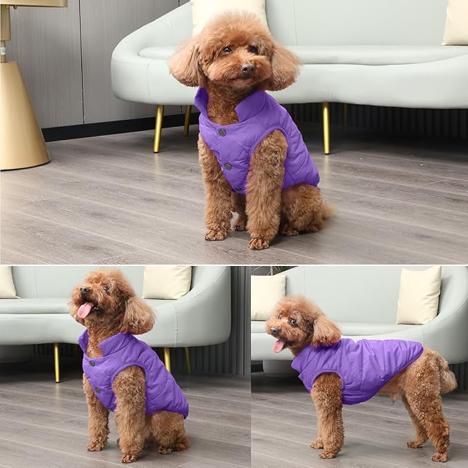 JoyDaog 2 Layers Fleece Lined Warm Dog Jacket for Puppy Winter Cold Weather,Soft Windproof Small Dog Coat,Purple M