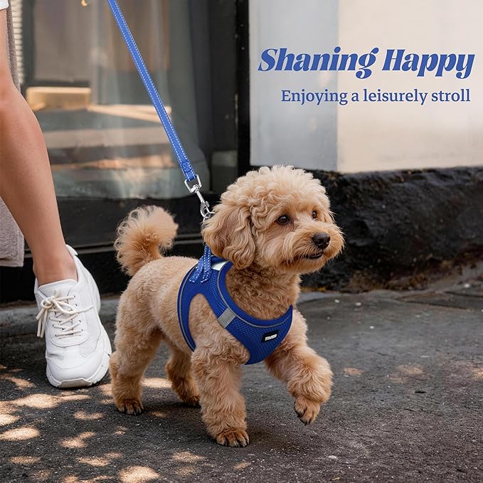 YIMEIS Dog Harness and Leash Set, No Pull Soft Mesh Pet Harness, Reflective Adjustable Puppy Vest for Small Medium Large Dogs, Cats (Royal Blue, Medium (Pack of 1)