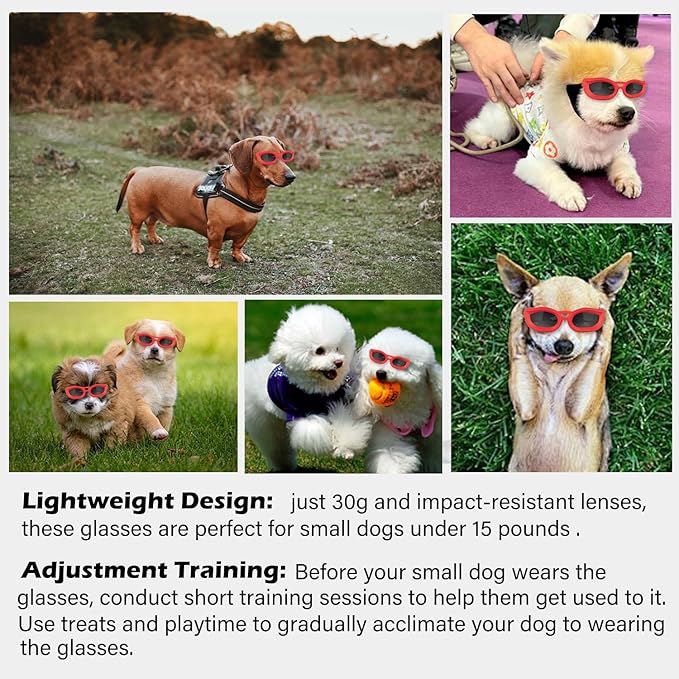 Dog Goggles Small Breed, UV/Wind/Dust/Fog Protection Pet Sunglasses with Adjustable Strap,Outdoor Dog Sunglasses for Small Dogs,Easy Wear