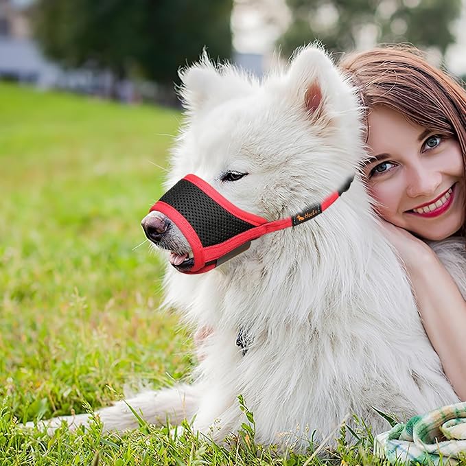 HEELE Dog Muzzle,Soft Nylon Muzzle Anti Biting Barking Chewing,Air Mesh Breathable Drinkable Adjustable Loop Pets Muzzle for Small Medium Large Dogs 4 Colors 4 Sizes (Red, L)