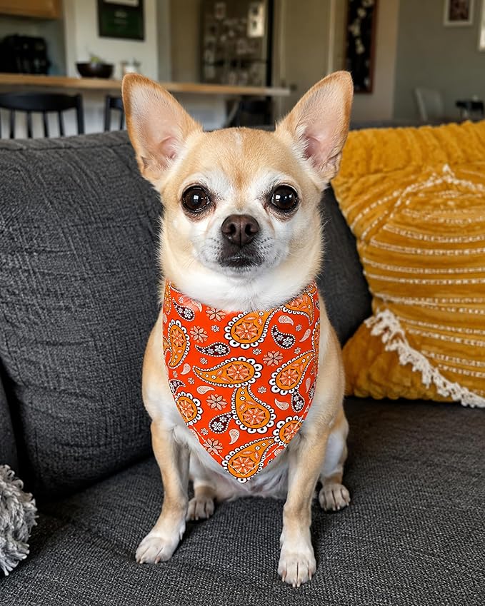 PET SHOW 50 Pack Small Paisley Dog Bandanas Bulk XS Dog Scarves Puppy Floral Bibs Kerchief Set Girl Boy Cats Pet Holiday Party Grooming Accessories