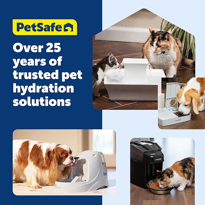PetSafe Oasys 1/2 Gallon Pet Fountain for Cats and Small Dogs 1/2 Gallon Water Capacity Adjustable Flow Control Fresh, Filtered Water Easy to Clean - Extra Filters Included