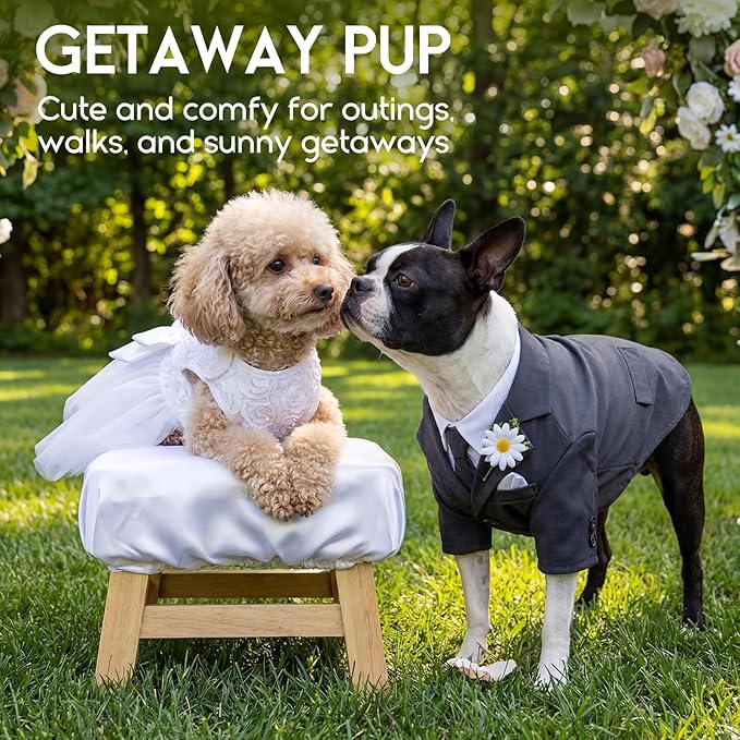 ASENKU Dog Dress Pet Wedding Dress Princess Lace Puppy Birthday Party Outfit Formal Apparel Girl for Small Medium Dogs Cats (Large, White)