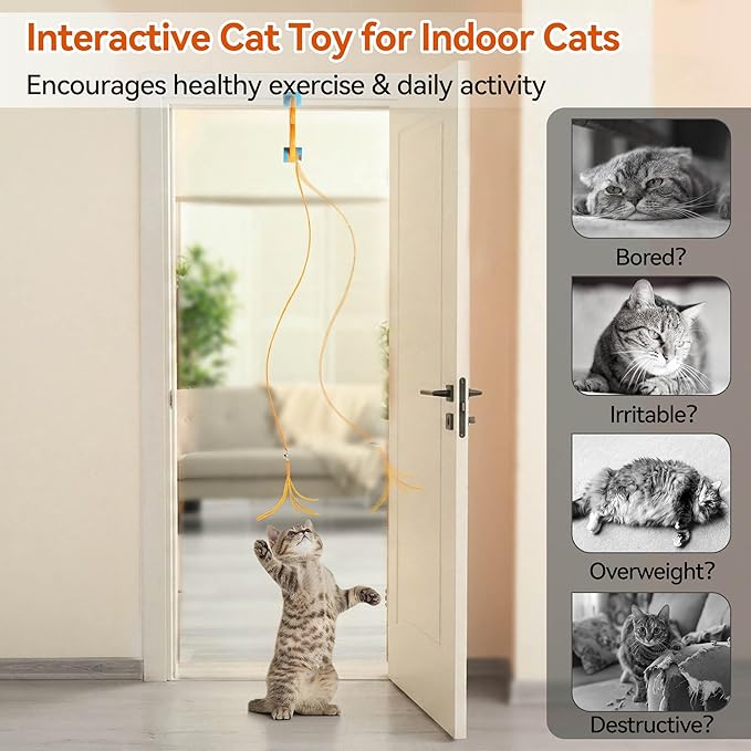 ALL FOR PAWS Interactive Cat Toy for Indoor Cats, Automatic Door Hanging Toy with Moving Feather, USB Rechargeable Cat Toys for Bored Adult Cats & Kittens, Electric Cat Toy for Enrichment & Exercise