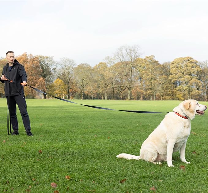 15ft Long Leash for Dogs - Long Line Dog Leash for Training Recall/Commands at Distance - Nylon, Heavy Duty - Ideal for Large & Small Breeds