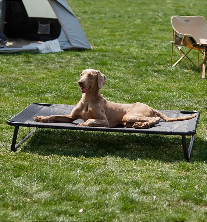 MADE 4 PETS Raised Dog Bed for XXL Dogs - Outdoor Elevated Pet Cot with Snap-in Legs, Washable Mesh, Non-Slip Feet, Durable & Chew-Resistant Hammock Bed, Indoor & Outdoor Use, 54"x37", Black