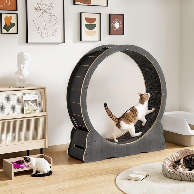 Cat Wheel for Indoor Cats, Quiet Large Cat Treadmill with Detachable Carpeted Runway, 46” Exercise Running Wheel for Pet’s Health and Entertainment, (XL, Black)