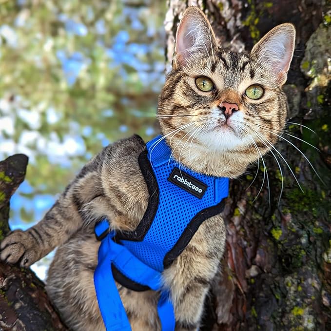 rabbitgoo Cat Harness and Leash Set, Escape Proof Vest Harness for Safe Outdoor Walks, Soft Breathable Adjustable Vest with Reflective Strips for Small and Average Cats, Navy Blue, S
