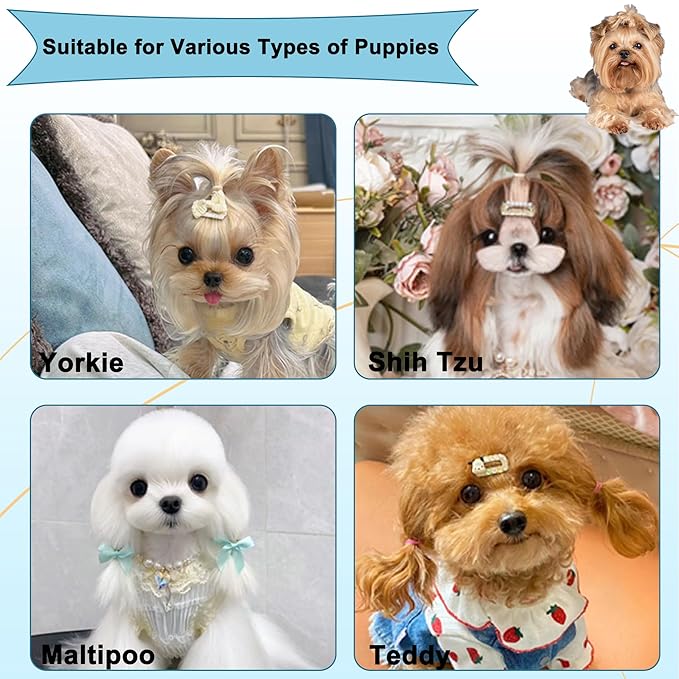 Gentle Grooming Puppy Brush with Gift Box , Fit for Small Dog , Yorkie, Shih Tzu, Maltipoo, Maltese and Pomeranian ,Toy Poodle Accessories, Soft Bristle (Glitter Blue)