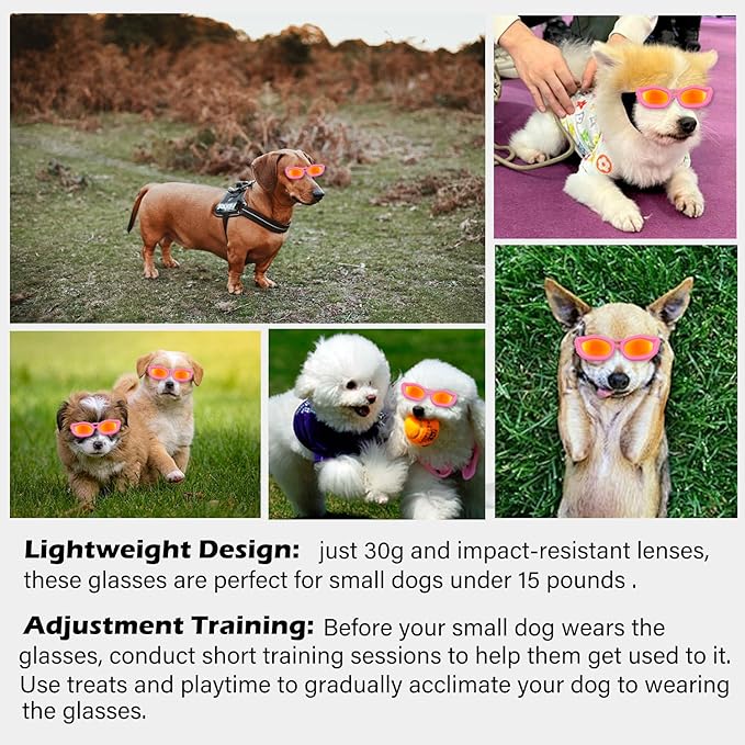 Dog Goggles Small Breed, UV/Wind/Dust/Fog Protection Pet Sunglasses with Adjustable Strap,Outdoor Dog Sunglasses for Small Dogs,Easy Wear