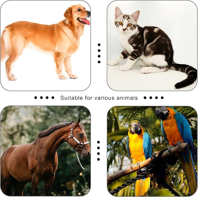 Pet Clicker for Dogs/Cats/Horses/Birds or Other Animals - Clickers for Training (Black)
