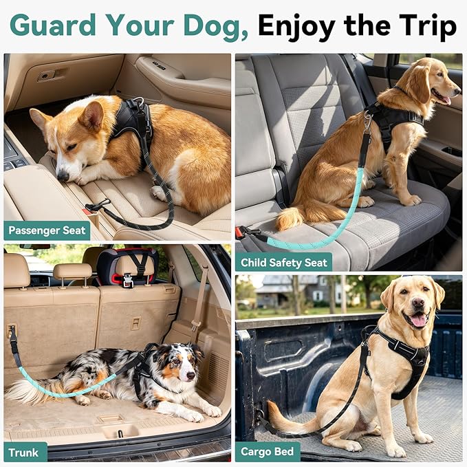 Dog Seat Belt for Car, Universal Dog Car Seatbelt with Buckle and Hook Latch, 360° Rotatable Lockable Clasp, Reflective Safety Pet Harness for Vehicle, Pet Safety Restraint, Cyan