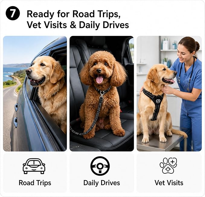 Dog Seat Belt 2Pcs, Retractable Pet Car Harness, Adjustable Dog SeatBelts for Vehicle, Nylon Pet Safety with Elastic Bungee (Black)