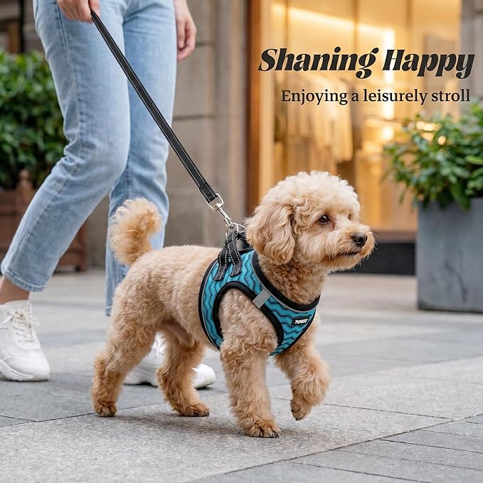 YIMEIS Dog Harness and Leash Set, No Pull Soft Mesh Pet Harness, Reflective Adjustable Puppy Vest for Small Medium Large Dogs, Cats (Blue, Small (Pack of 1))