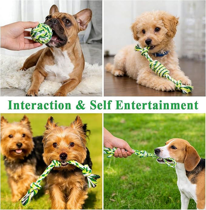 ASOCEA 5 Pack Dog Rope Toys Cotton Puppy Teething Chew Toys for Small Dogs Puppies Interactive Tug Toy for Training Fetching Boredom Relief(Green)