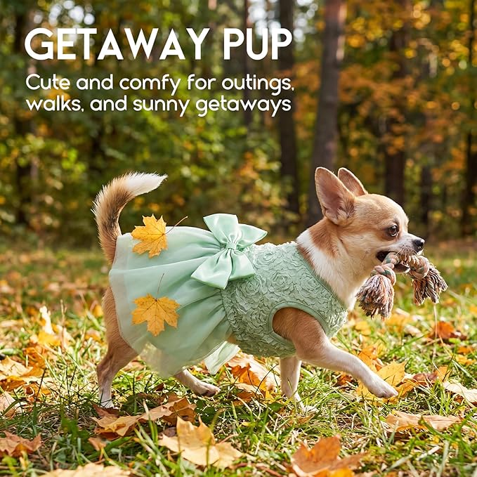 ASENKU Dog Dress Pet Wedding Dress Princess Lace Puppy Birthday Party Outfit Formal Apparel Girl for Small Medium Dogs Cats (Small, Green)