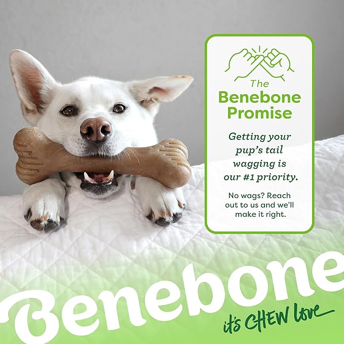 Benebone Bone Durable Dog Chew Toy for Aggressive Chewers, Real Bacon, Made in USA, Medium