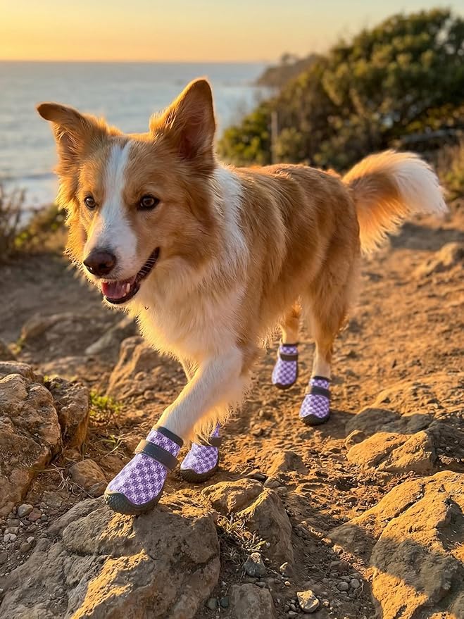 Dog Shoes Breathable Non-Slip Outdoor Booties for Small Medium Dogs, Pet Boots Paw Protector for Hot Pavement Hardwood Floors (Purple, Large)