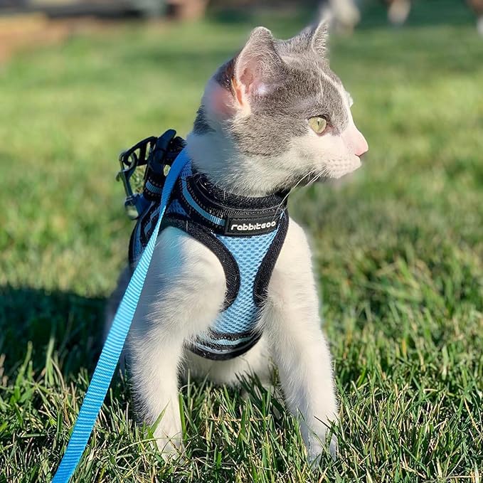rabbitgoo Cat Harness and Leash, Step-in Escape Proof Kitten Harness Set, Soft Comfortable Cat Vest, Easy to Wear and Adjust, Reflective for Safe Outdoor Walking, Light Blue, Small