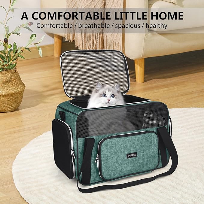 BAGLHER Pet Travel Carrier, Cat Carriers Dog Carrier for Small Medium Cats Dogs Puppies, Airline Approved Small Dog Carrier Soft Sided, Collapsible Puppy Carrier. Green