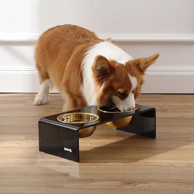 THE LICKER Store DBL2000B Keaton 5" Small/Medium Modern Lucite Rectangular Elevated Pet Feeder with 20oz 2-Stainless Steel Bowls, Black/Gold